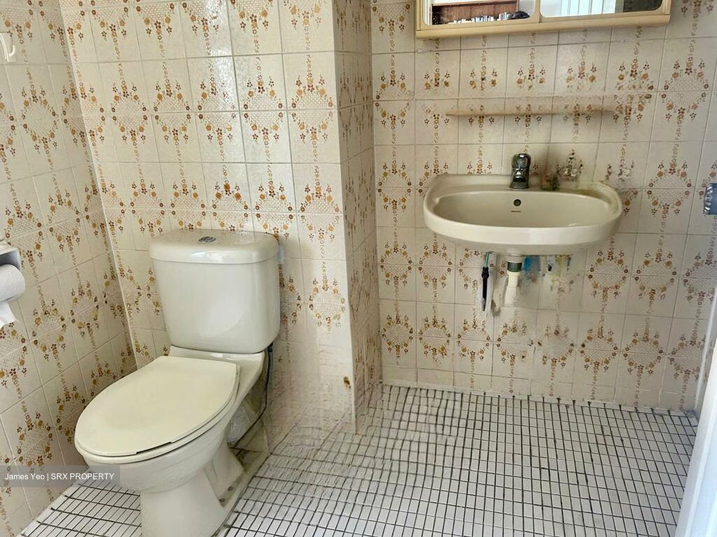 Pandan Valley (D21), Condominium #571826731
